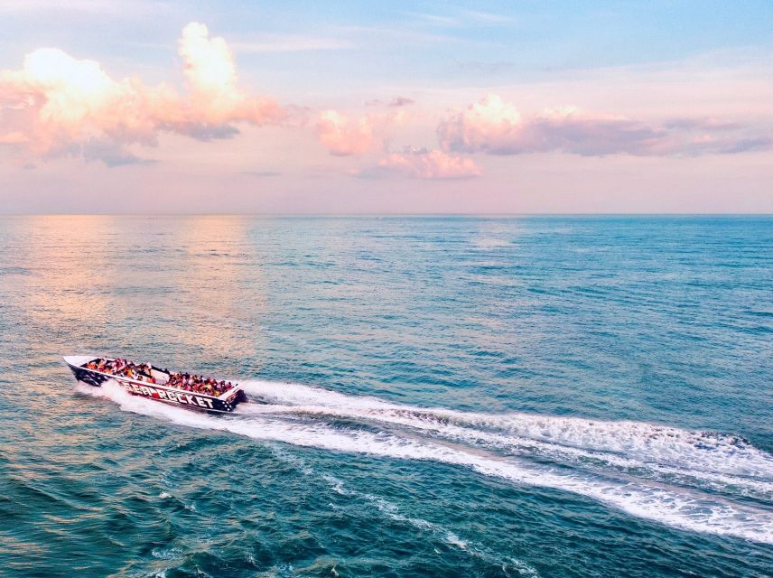 Ocean City: High-Speed Sunset Cruise & Dolphin Watch - Full Description