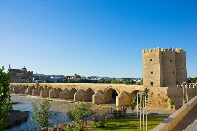 Off the Beaten Path. Cordoba Patios Private Tour - Patios Visit Details