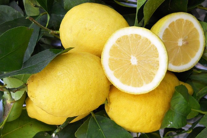 Oil & Lemon Walking Tour- the Essence of Sorrento - Meeting and Pickup Details