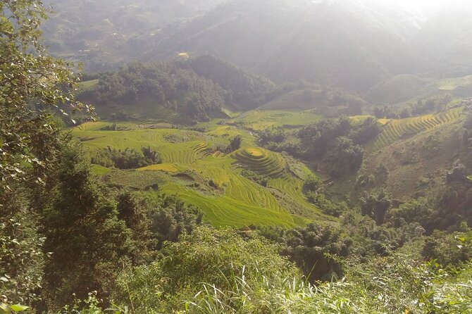 One Day Trekking in Sapa and Muong Hoa Valley With Local Guide - Traditional Lunch and Refreshments