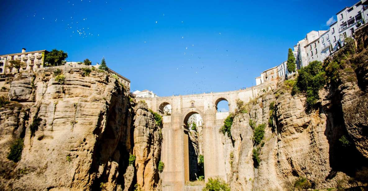 One Day Trip Ronda From Málaga - Tour Highlights & Inclusions