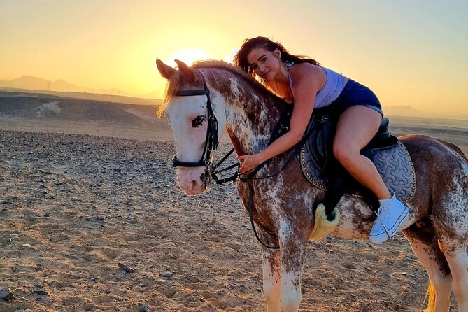 One Hour Horse or Camel Riding With Transfer- Sharm El-Sheikh - Animal Welfare and Facilities