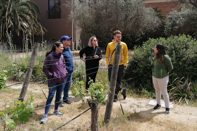 Organic Wine Route, Lunch With Local Chef, Valparaíso Tour. - Common questions