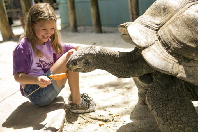 Orlando: Gatorland Skip-the-Line Ticket - Highlighted Features