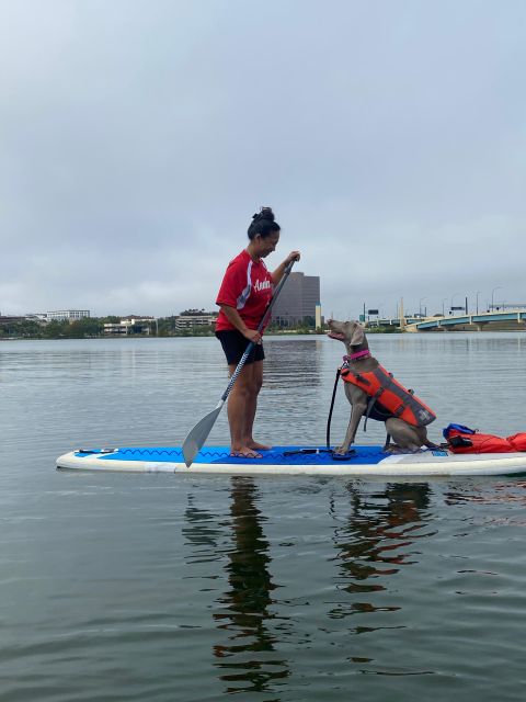 Orlando: Paddle With Pups in Paradise - Paddleboard or Kayak - Inclusions