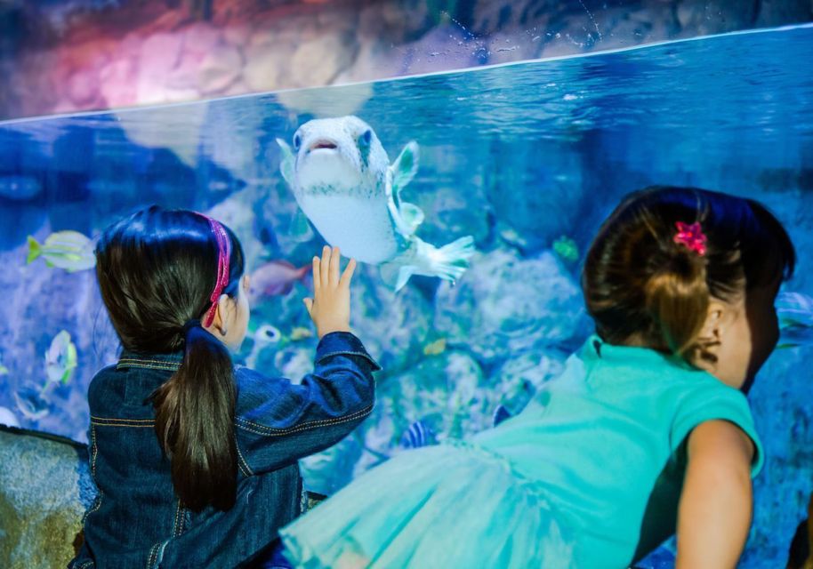 Orlando: SEA LIFE Orlando Aquarium - Booking Details