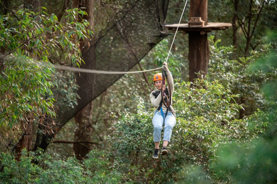 Ourimbah: Central Coast Treetops Adventure Tree Ropes Course - Group Size and Cancellation Policy