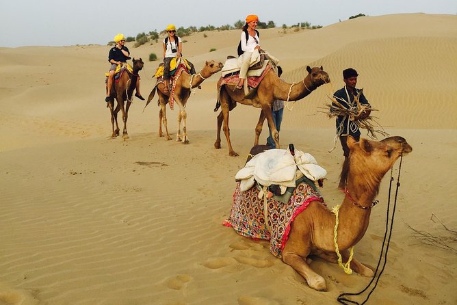 Over Night Desert Adventure Camel Safari - Common questions