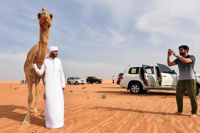 Overnight Dubai Desert Camping- Camel and 4x4 Safari With BBQ and Belly Dance - Overnight Stay and Amenities