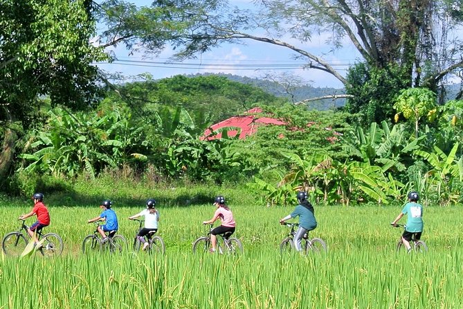 Overnight Mae Taeng Valley Cycling and Waterfall - Waterfall Experience Details