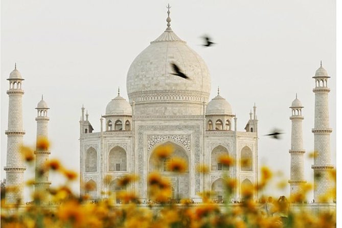 Overnight Trip to Delhi and Agra - Dining Recommendations