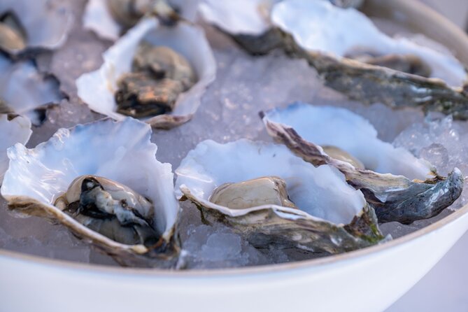 Oysters and Bubbles Sailing Experience in Vilamoura - Experience Highlights