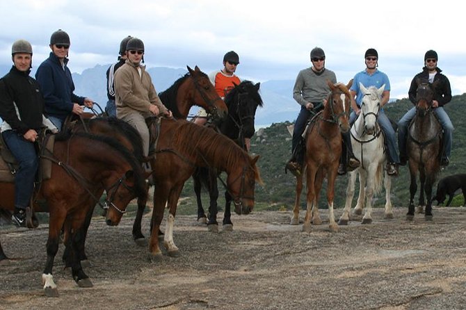 Paarl Horseback Riding Tour  - Stellenbosch - Important Tour Directions and Guidelines