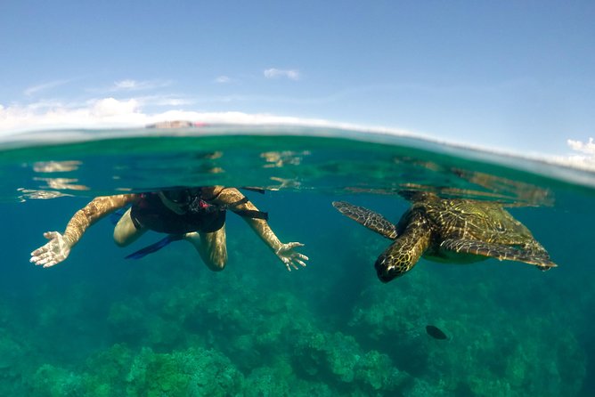 Paddle, Snorkel and Learn to Surf - All in a Day on Maui (South Side) - Kayaking Adventure Highlights