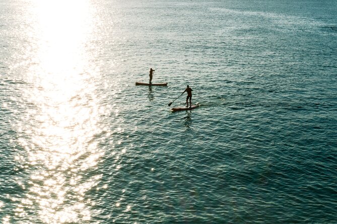 Paddleboard Mini Lesson From Newquay - Additional Information