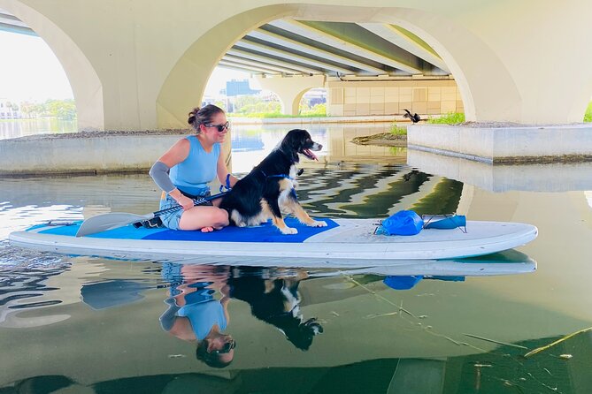 Paddleboarding With Dogs and Rabbits  - Orlando - Fitness and Accessibility