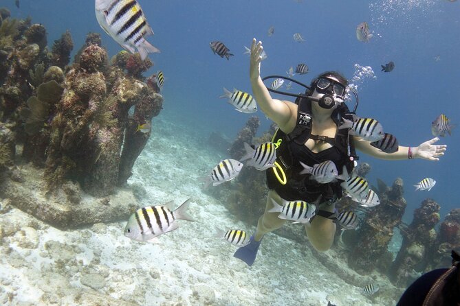 PADI Discover Scuba Diving for Divers Without Certification - Expectations and Requirements