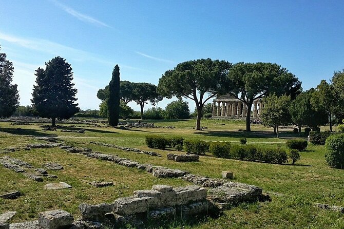 Paestum Park and Bufalo Farm Day Tour From Sorrento - Additional Information