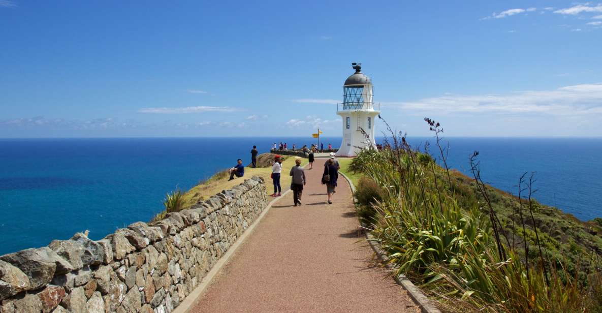 Paihia: Cape Reinga and Ninety Mile Beach Trip With Lunch - Full Description