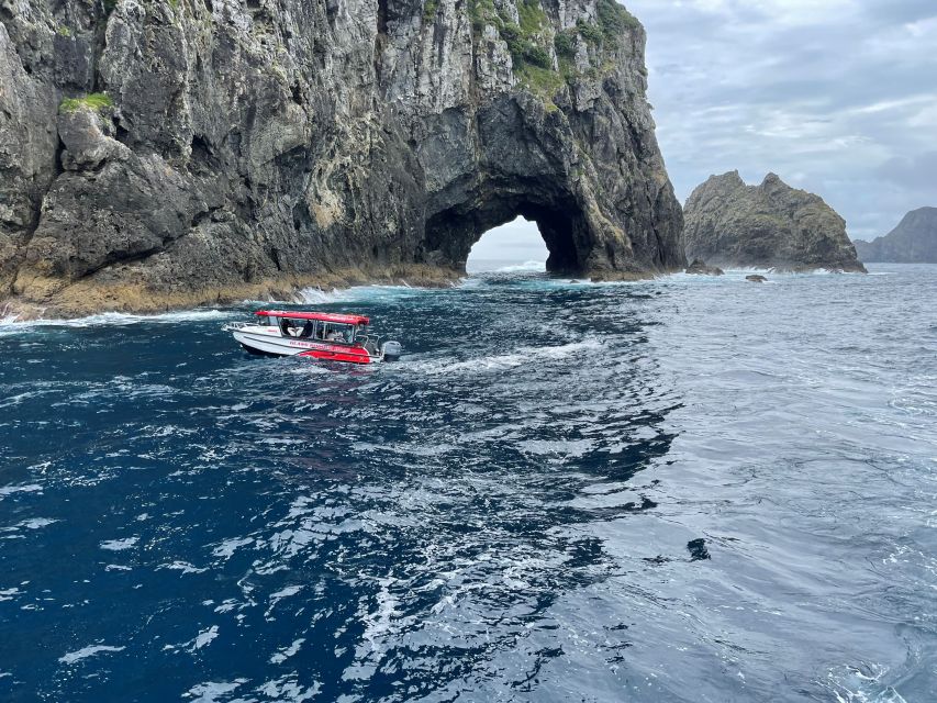 Paihia: Glass Bottom Boat Tour to the Hole in the Rock - Experience Inclusions