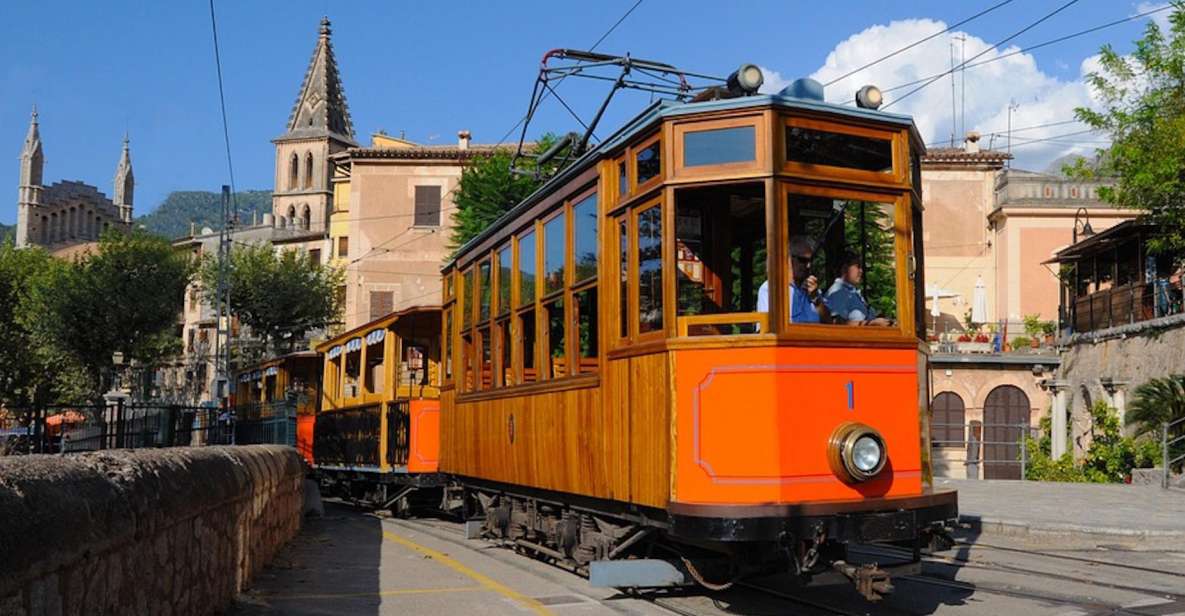 Palma: Tramuntana Full-Day Tour With Sóller Train and Lunch - Review Summary