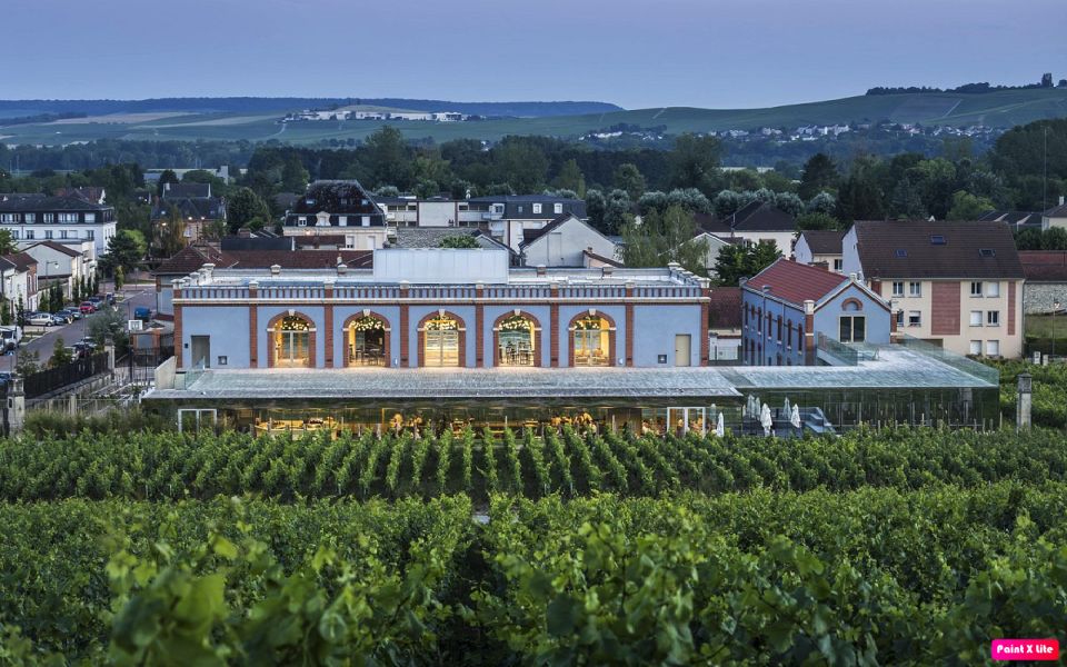 Paris & Epernay : Jazz, Opera, Vineyards &Local Experiences - Champagne Vineyard Tours