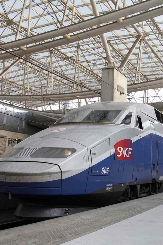 Paris Private Arrival Transfer: Railway Station to Hotel - Experience Highlights