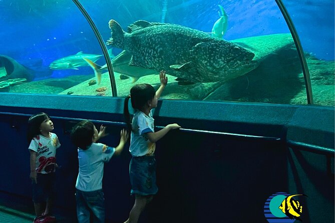 Pattaya Underwater World Entrance Ticket - Cancellation Policy and Terms