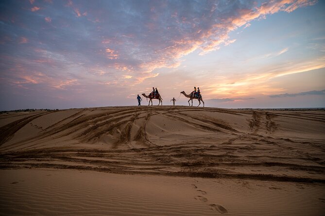 Peeps Billion of Star Experience With Non Touristic Camel Safari - Pricing and Booking Information