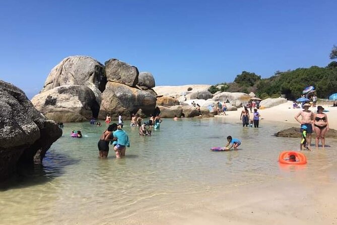 Penguin Watching & Beach Day at Boulders Beach, Cape Town - Dining Options and Recommendations