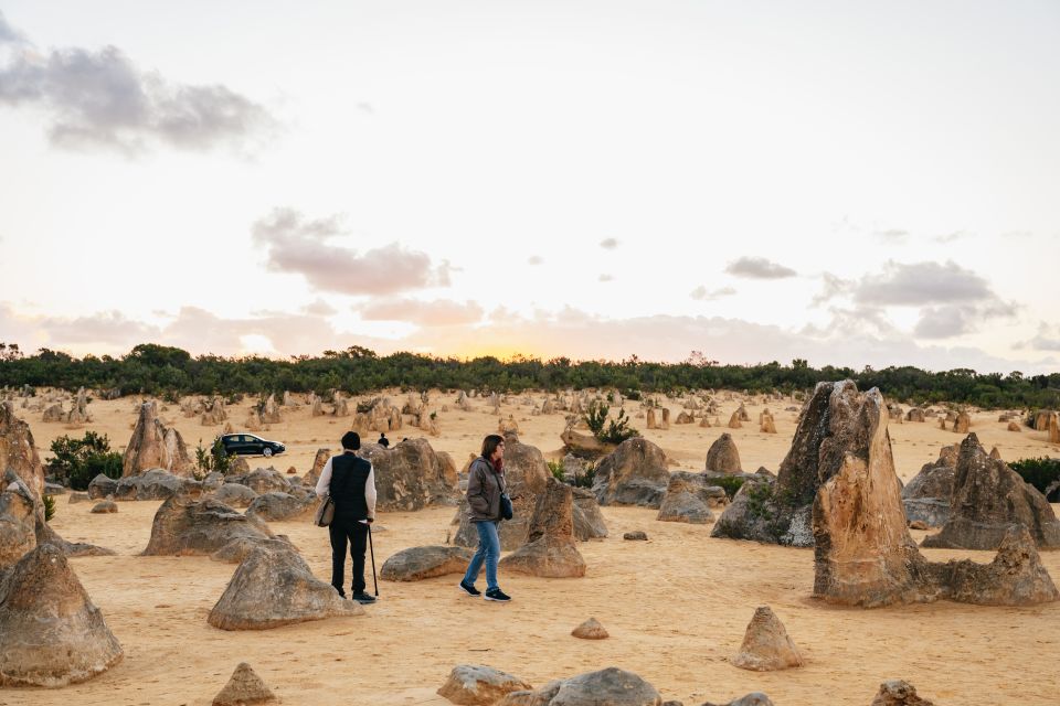 Perth: Pinnacle Desert Sunset and Stargazing With Dinner - Itinerary