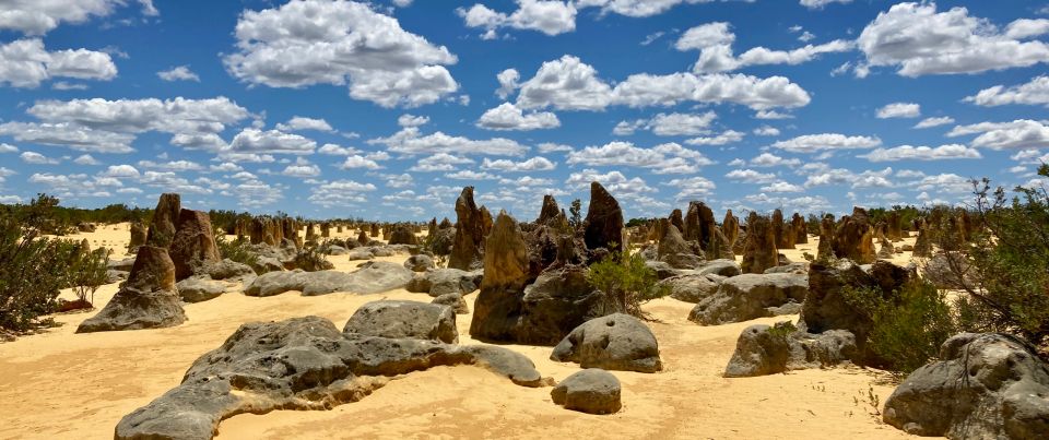 Perth: Pinnacles Desert Bush Walk Guided Tour With Lunch - Inclusions Details