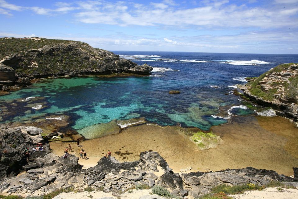 Perth: Rottnest Island Ferry Round-Trip Ticket - Travel Time and Wildlife Spotting