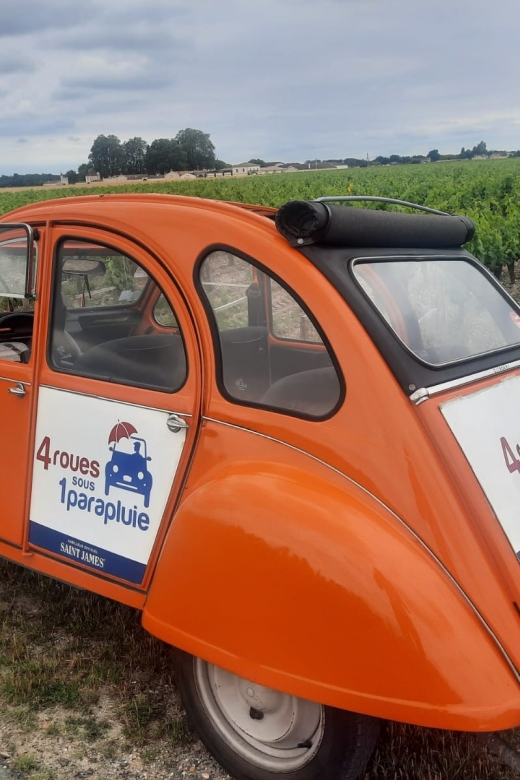 Pessac-Léognan : Citroën 2CV Private Half-Day Wine Tour - Citroën 2CV Ride and Vineyard Exploration