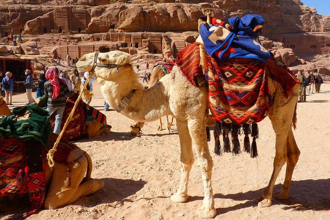 Petra Day Trip From Sharm El Sheikh - Last Words