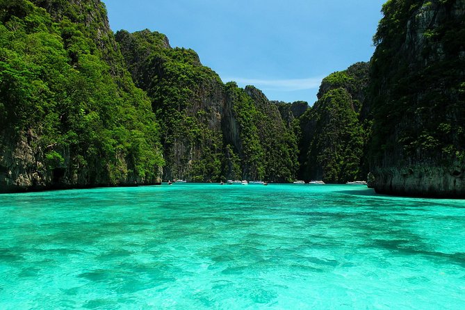 Phi Phi Green & Khai Islands - Exploring Local Marine Life