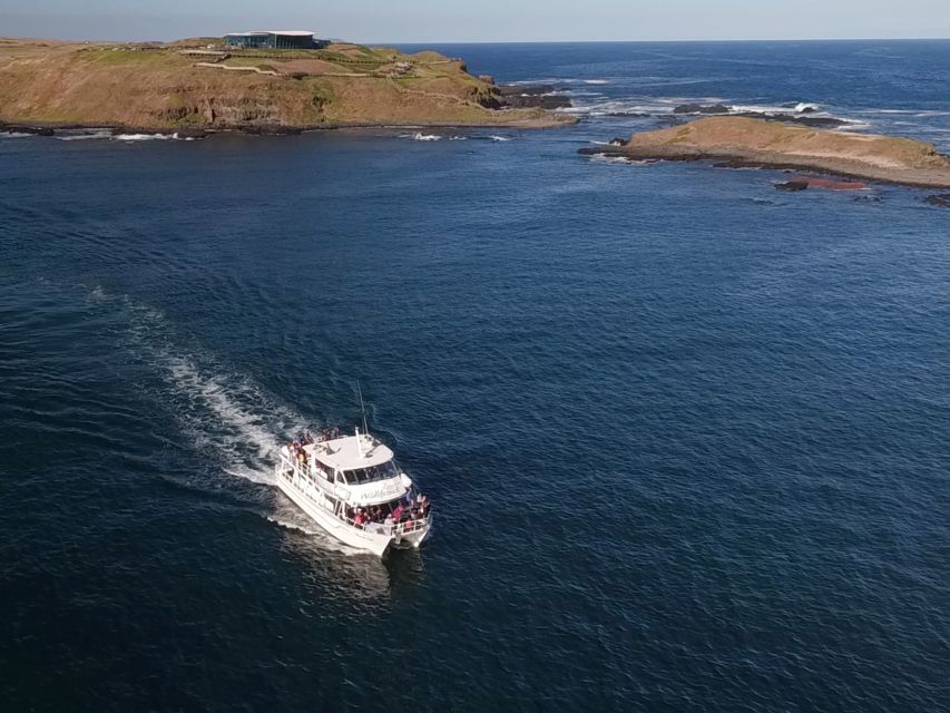 Philip Island: Seal Watching Cruise - Customer Reviews