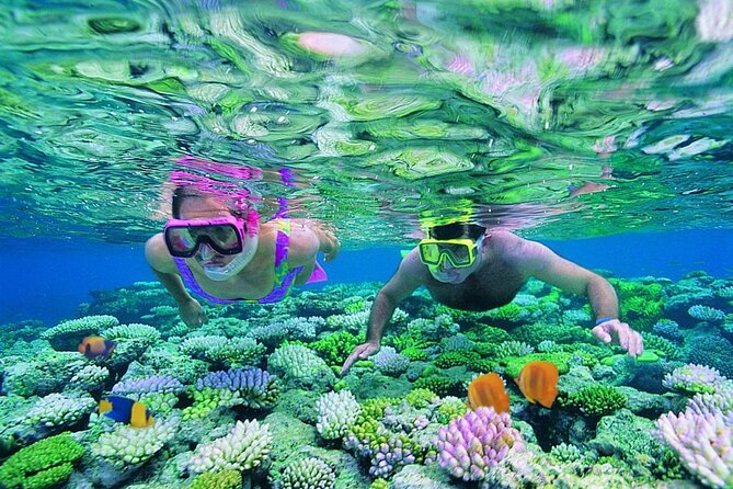 Phuket - 3 Phi Phi Islands 7 Sports Snorkeling Full-Day Trip by Speed Boat - Speed Boat Experience