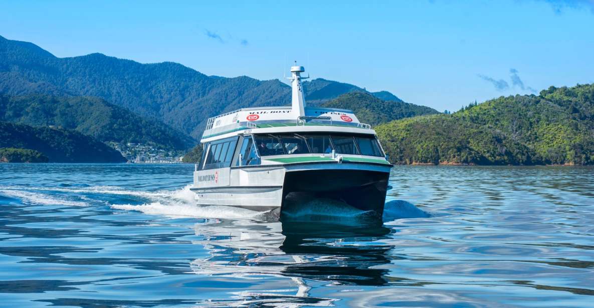 Picton: Queen Charlotte Sounds Sightseeing Cruise - Inclusions