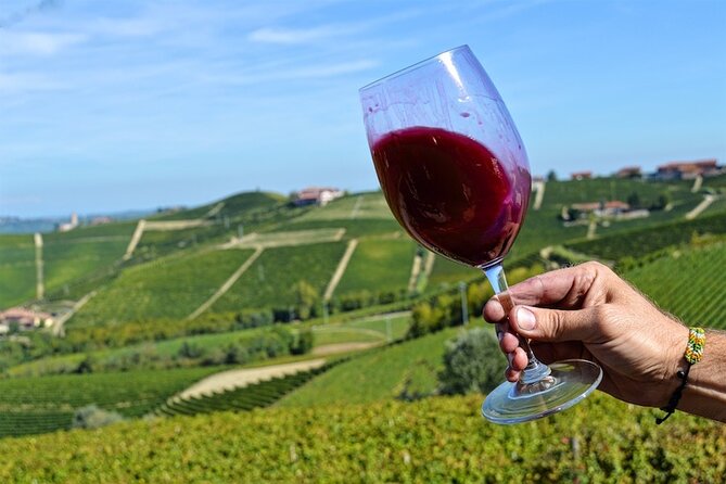 Piemonte Vineyards by Yourself From Turin by Luxury Van With English Chauffeur - Pricing and Terms