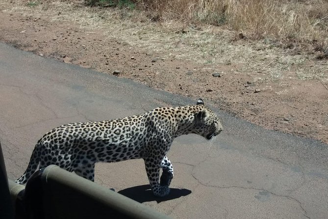 Pilanesberg Game Reserve Guided Day Tour From Johannesburg or Pretoria - Booking and Pickup Locations