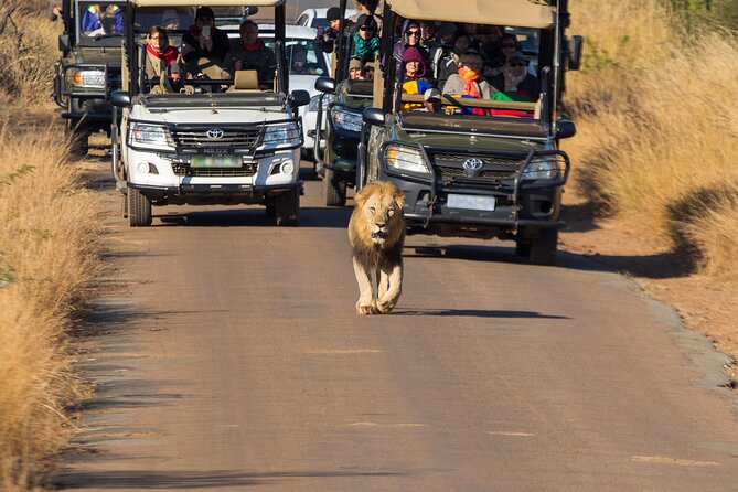 Pilanesberg National Park Private Full-Day Safari Tour  - Johannesburg - Additional Information