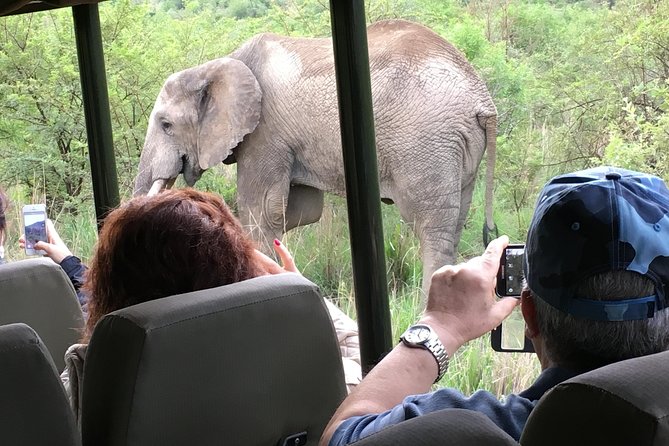 Pilanesberg National Park Safari From Johannesburg - Important Reminders