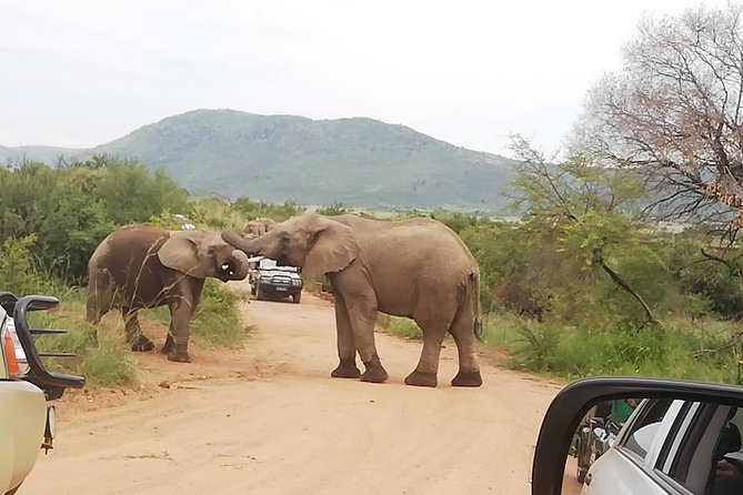 Pilanesberg Nature Reserve & Lion & Rhino Park Private - Reviews and Ratings Overview