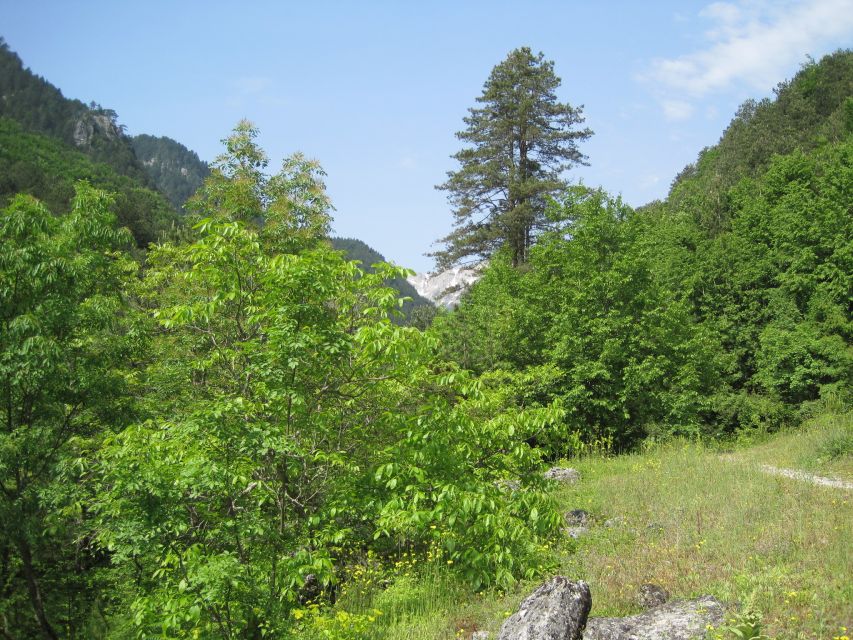 Pindus Mountains: Dragon Lake Full-Day Guided Hike - Inclusions