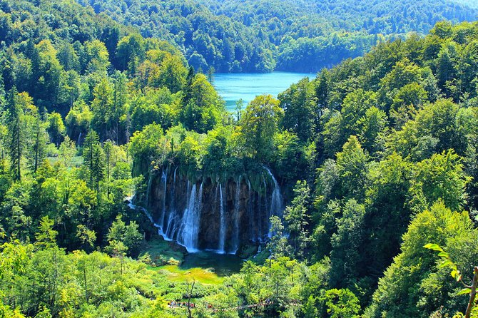 Plitvice Lakes National Park Tour From Zadar - Review Roundup and Ratings