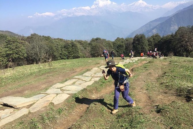 Pokhara: 4 Days Poon Hill - Ghandruk Village Trek - Experience Inclusions