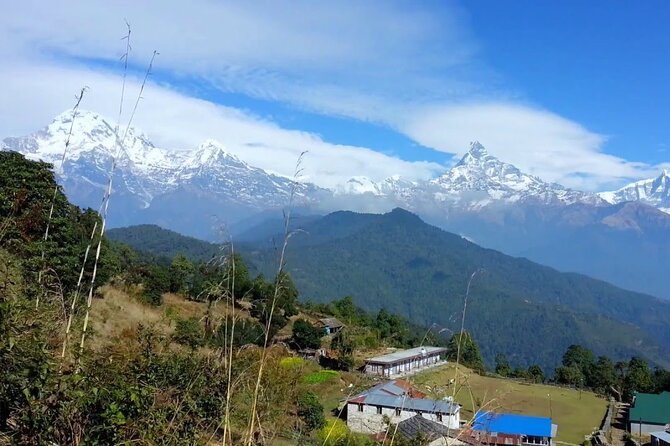 Pokhara: Dhampus Easy Trek for Families With Youngkids 2 Day Tour - Inclusions