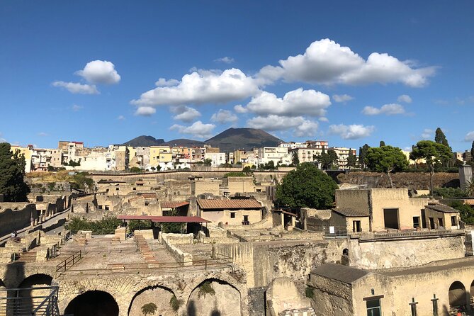 Pompeii and Herculaneum Private Tour With Pick up and Wine Tasting - Reviews and Feedback Analysis