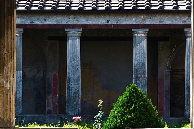 Pompeii and Herculaneum Skip-The-Line Full Day Tour With a Private & Local Guide - Private Guide Experience